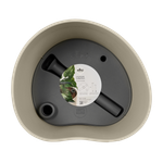 eden aquacare medium 40cm topo suave